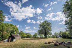 Fa kunyhó az erdő szélén, kék éggel.