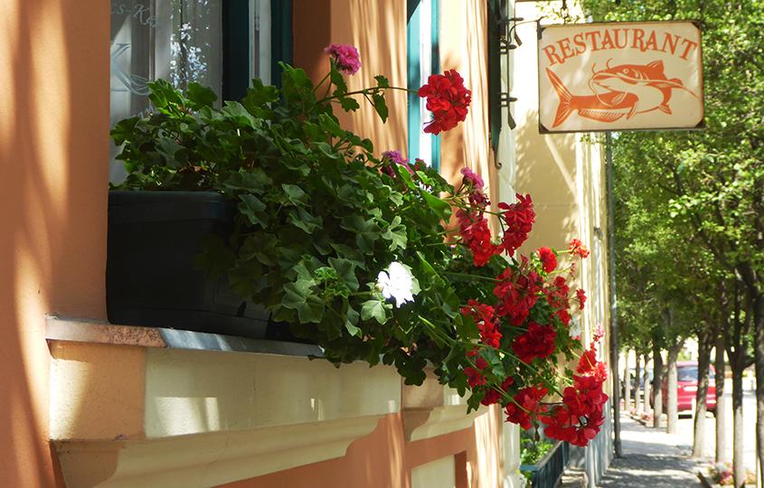 Kovács-Kert Étterem