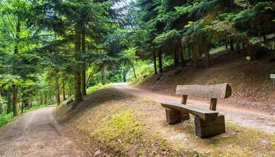 Sétány a füvészkerben paddal.