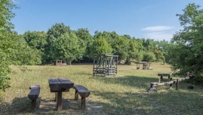 Fa jásztótér az erdő szélén.