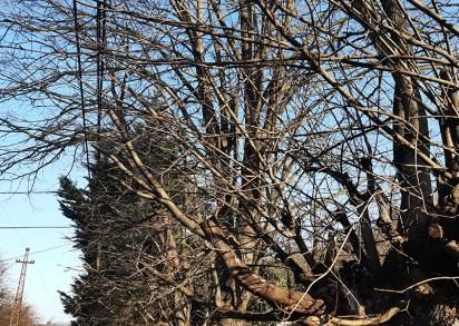 Gallyazási munkálatok